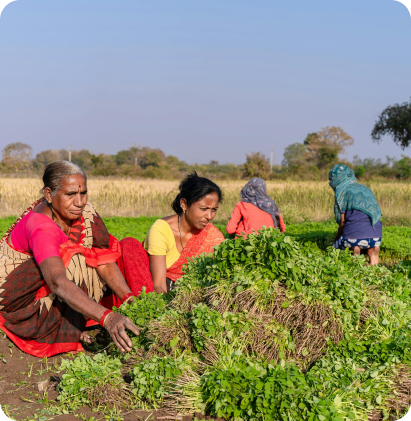 Low-cost Housing and Rehabilitation